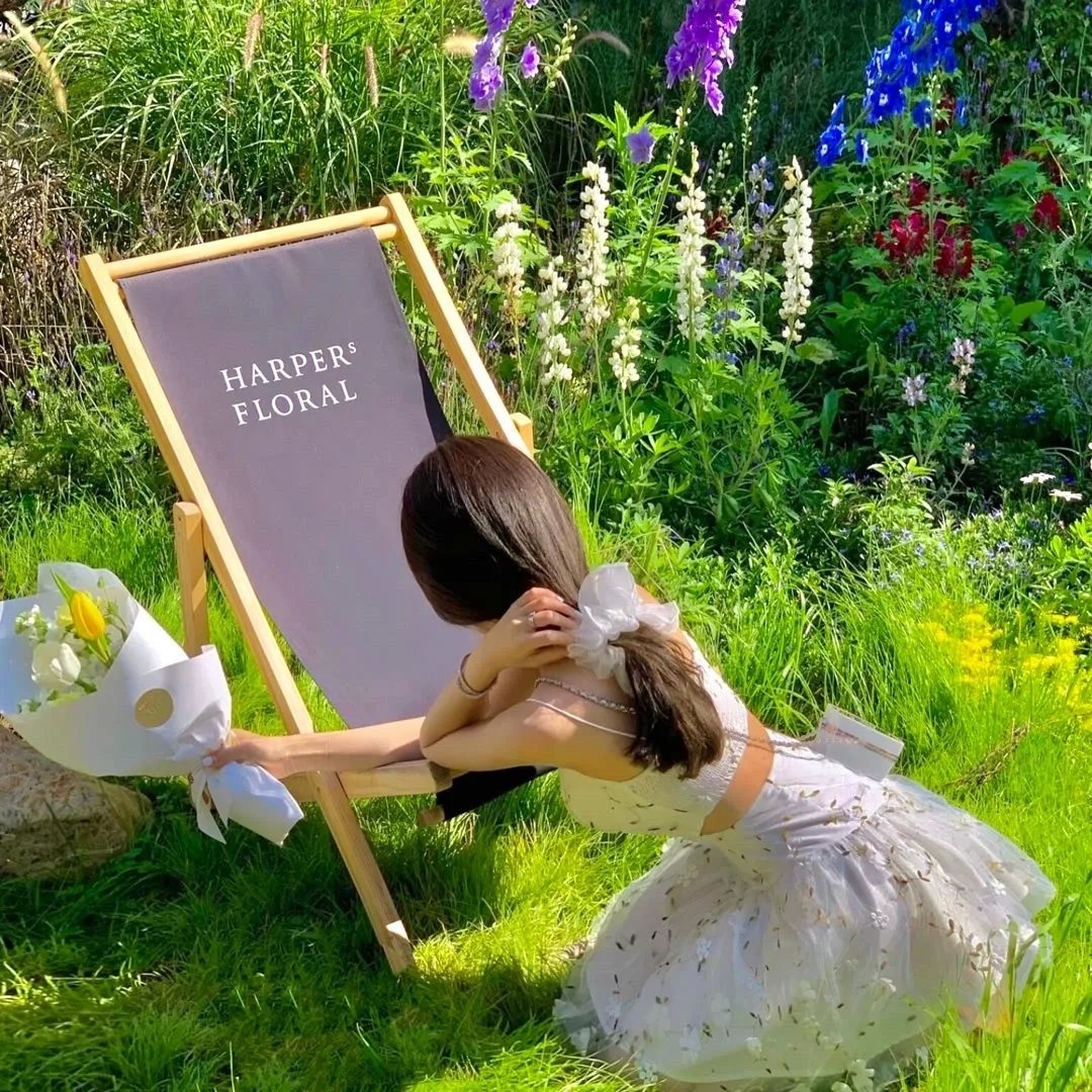 我最后一次看见巴黎